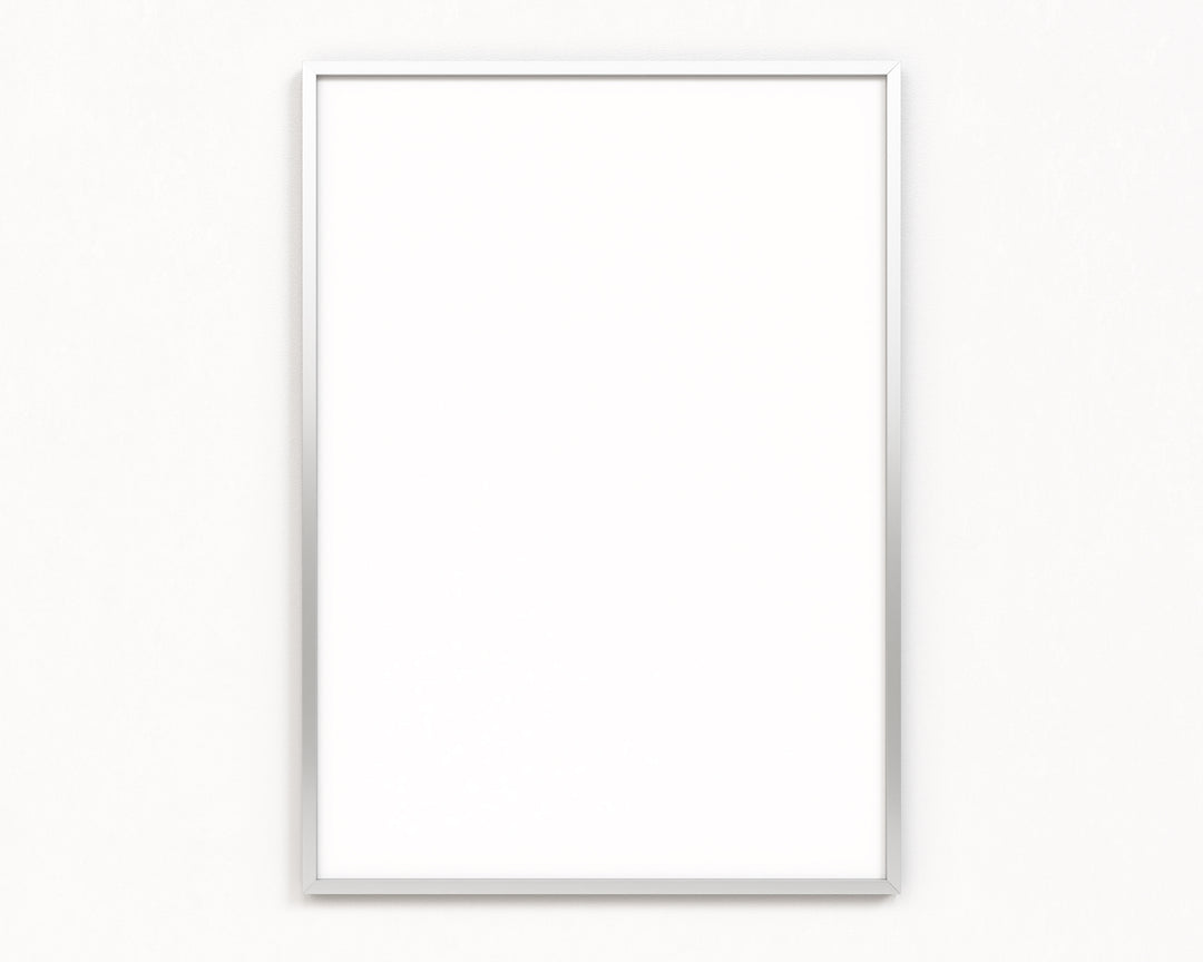 Silver Frame