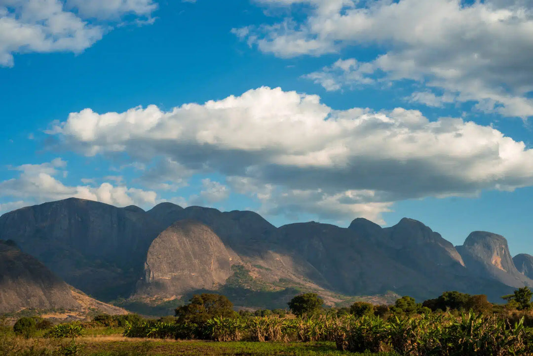 Mozambique