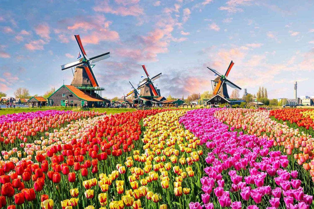 Netherlands