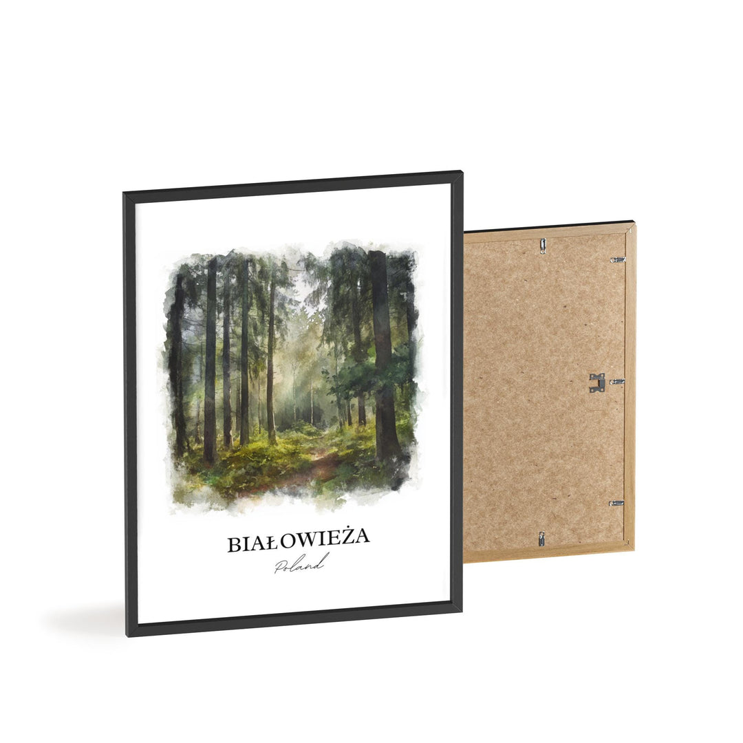 Bialowieza Wall Art, Bialowieza Podlaskie Print, Poland Watercolor Art, Poland Gift, Travel Print, Travel Poster, Housewarming Gift