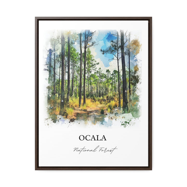 Ocala National Forest, USA – Watercolor Art Print