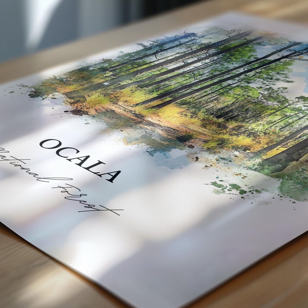 Ocala National Forest, USA – Watercolor Art Print